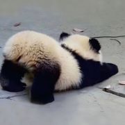 九九.
