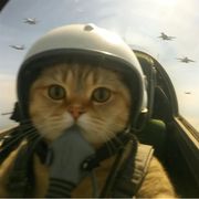 我过去一把糯米