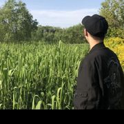 寒霜月九