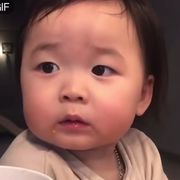 德克萨斯李