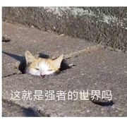 支付宝到账一亿元