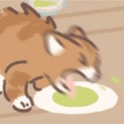 跑肚窜稀