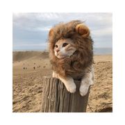 哈尔夕阳