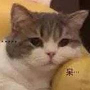 抱