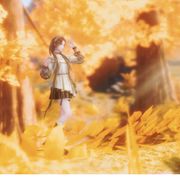 白荼清欢无别事丶