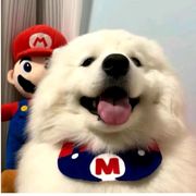 豆包耶耶冰🦁🦈