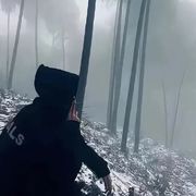 无意
