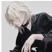 星雾花