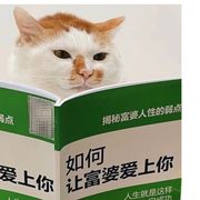 魑神