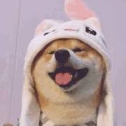 负重一万斤长大