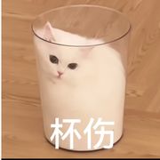 心碎的幽默*.*