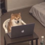 荨