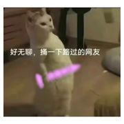 你好李信
