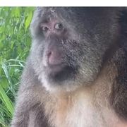 节奏人生