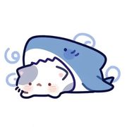 鲨猫的游戏库