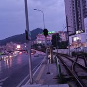王ZH
