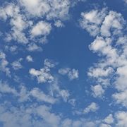 手机用户64230335