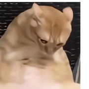 无爱