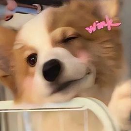 手机用户62604141