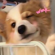 手机用户62604141