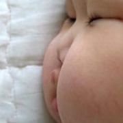 林百蛋