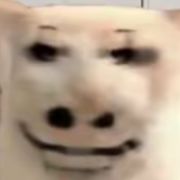 青春的，碎月