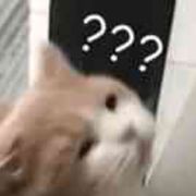 歌拉沙禾.