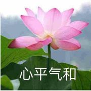 超级无敌暴龙战士