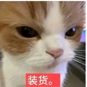 嘻嘻