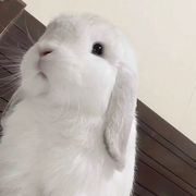 不过尔尔
