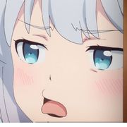 不冬眠