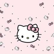 同款+威：Z-549-yj