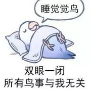 风啊，带我飞吧