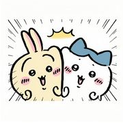 寒梅傲雪剑指昆仑