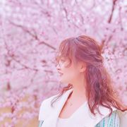 三芽芽