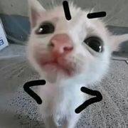 。 🇨🇳