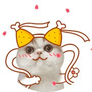 助理小冰（关注我得情报）