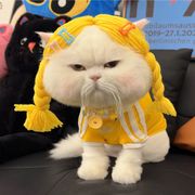 🐭你还回来吃饭吗