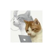 *薛定谔的猫i