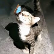 拆迁户涵