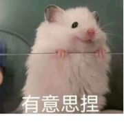 ( ˃᷄˶˶̫˶˂᷅ )