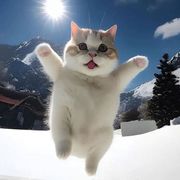 123