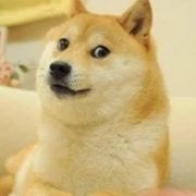 不知道取什么名字