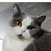 蘑菇仔