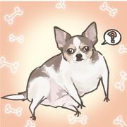 今天咕咕不咕咕