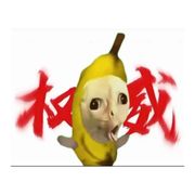 小曲琦