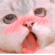 顺