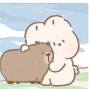 快来快来