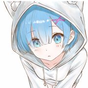 吟雪落梅枝