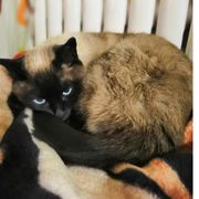 0HAYOU